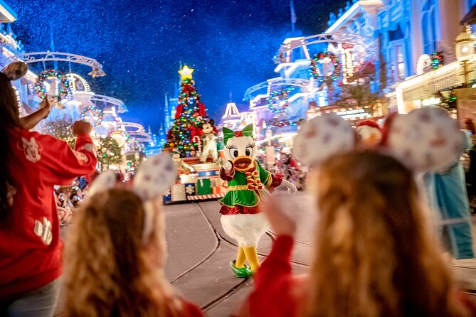 Walt Disney World Special Event Tickets - Accessibility Features