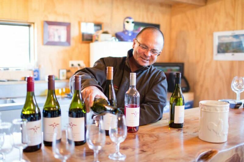 Wanaka: Full Day Classic Wine Tour with Lunch - Key Points