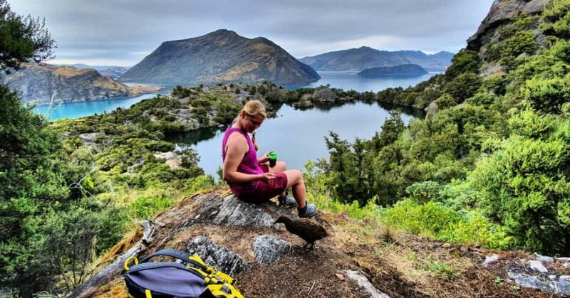 Wanaka: Mou Waho Island Boat Tour and Nature Walk - Exploring Mou Waho Island: What to Expect