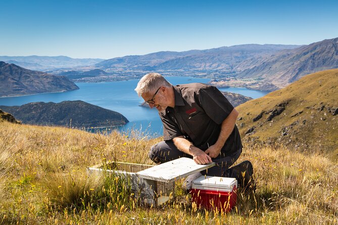 Wanaka Nature Encounter: Lake Cruise and 4WD Safari - Inclusions