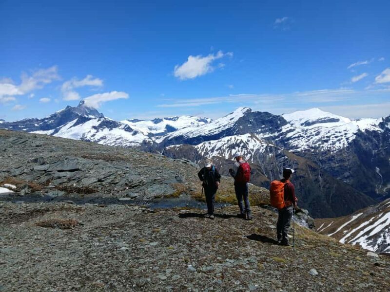 Wanaka: Private Alpine Heli-Hike - An Introduction to the Wanaka Private Heli-Hike