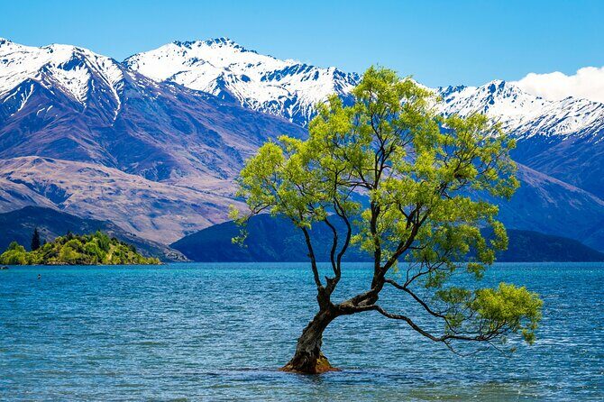 Wanaka Private Day Trip from Queenstown: TravelnGo - A Day in the Otago Landscape: What Makes This Tour Special