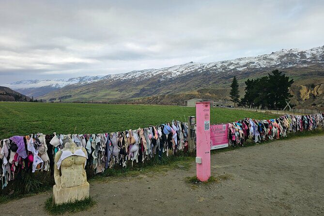 Wanaka Private Day Trip from Queenstown: TravelnGo - Starting Point: Lake Hayes – A Peaceful Introduction