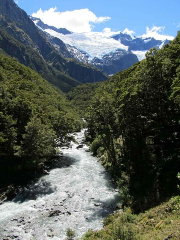 Wanaka: Rob Roy Glacier Guided Hike with Lunch - Final Thoughts
