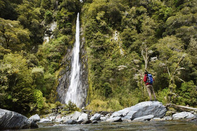 Wanaka to Franz Josef Small-Group Tour (One Way) Includes Lunch - Key Points