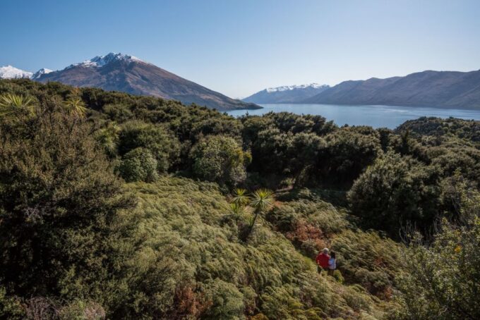 Wanaka: Water Taxi & Mou Waho Island Tour - Explore Mou Waho Island