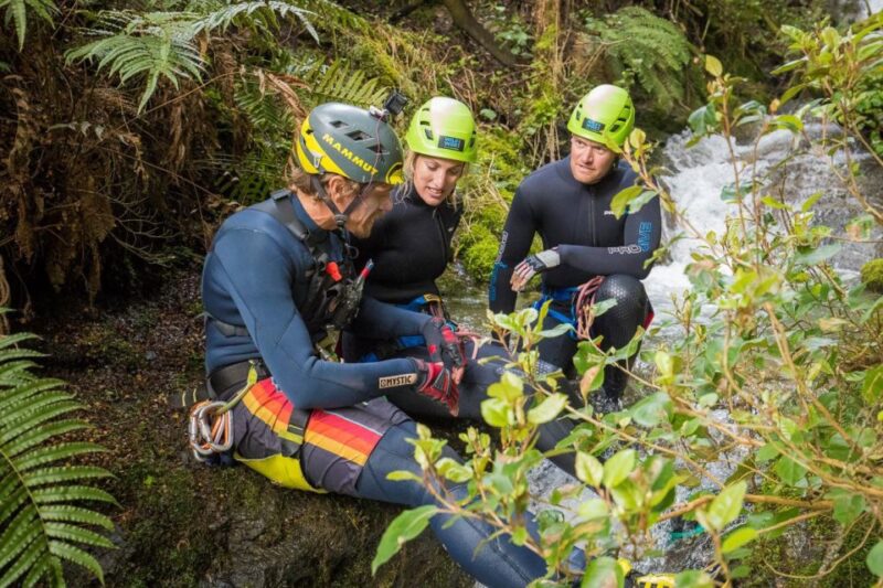 Wanaka: Waterfall Climb and Canyon Tour - Safety and Training