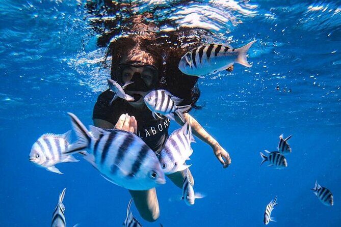 Want to escape? Treat yourself to a snorkeling session in Tahiti! - Key Points