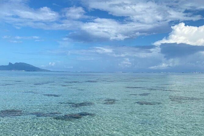 Want to escape? Treat yourself to a snorkeling session in Tahiti! - A Closer Look at the Tahiti Snorkeling Tour