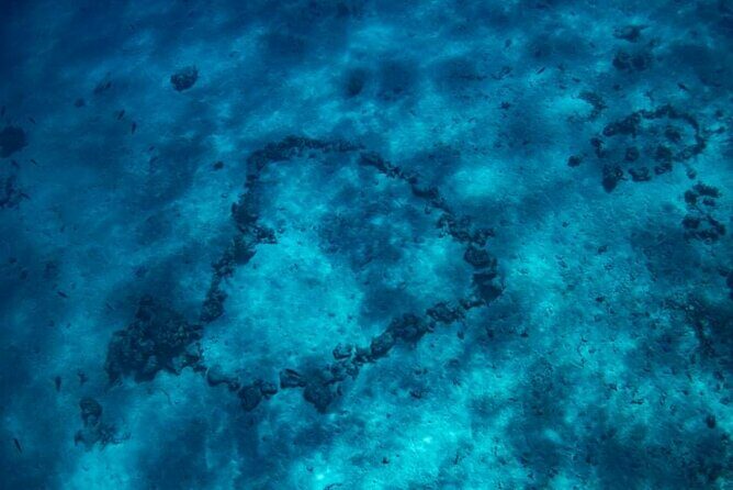 Want to escape? Treat yourself to a snorkeling session in Tahiti! - FAQs