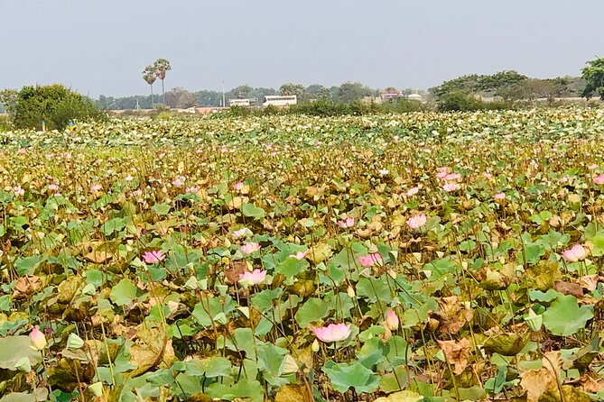 War Museum, Killing Field and Floating Village ( Chong Kneas) Tour - Visiting Siem Reap