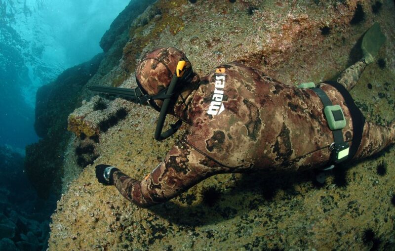 Warkworth: Full-Day Spearfishing Charter - Meeting Point and Logistics