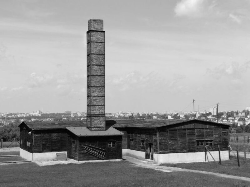 Warsaw: 12-Hour Guided Private Tour to Majdanek and Lublin - Tour Experience and Highlights