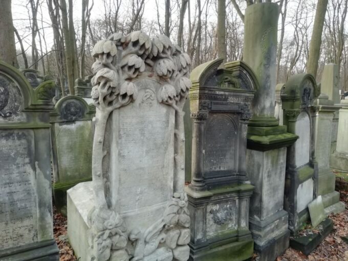Warsaw: 3-Hour Car Tour of Jewish Warsaw - Transportation and Directions