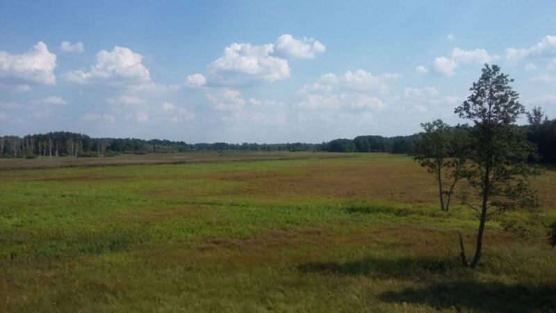 Warsaw: Bialowieza National Park and European Bison Tour - Frequently Asked Questions