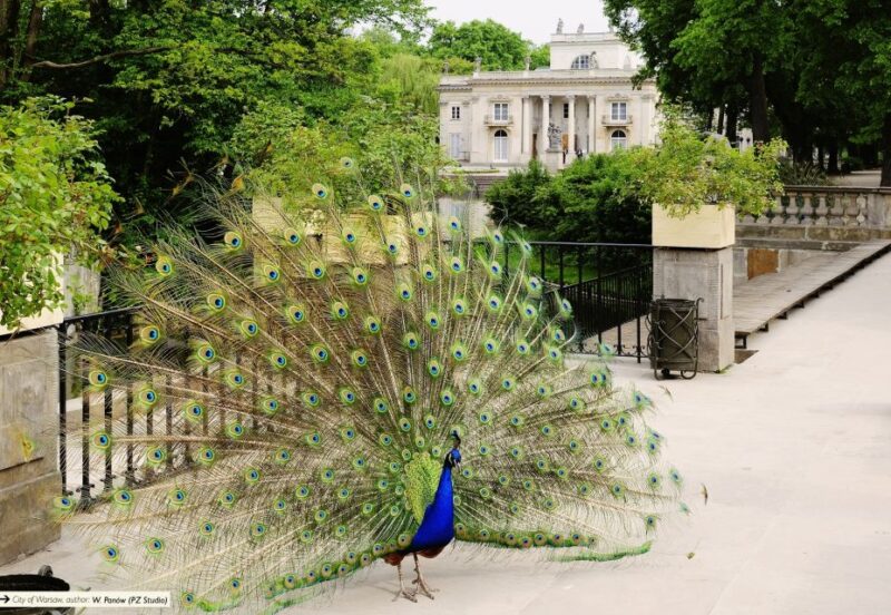 Warsaw: Full-Day Private Tour From Poznan - Attractions and Experiences