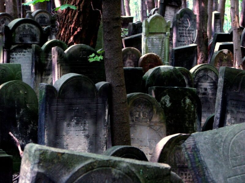 Warsaw: Jewish Heritage 4-Hour Private Tour - Cultural Experience