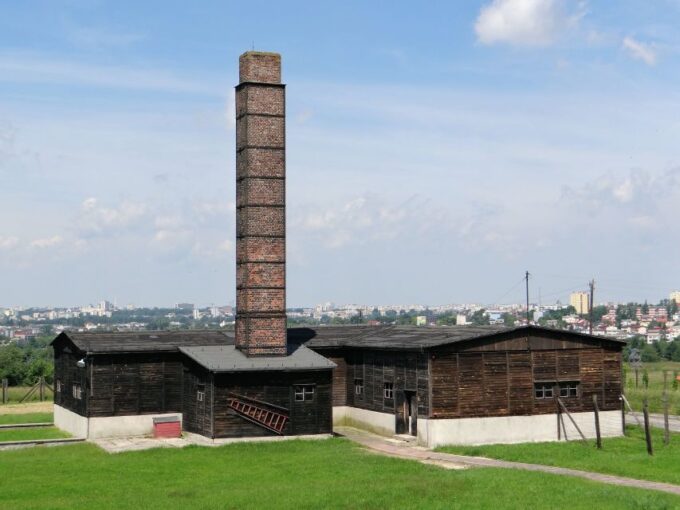 Warsaw: Majdanek Concentration Camp, Lublin Day Trip by Car - Private Transportation and Accessibility