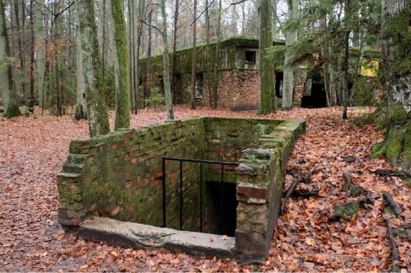 Warsaw: Private Full-Day Excursion to Wolfs Lair - Wolfs Lair Historical Significance