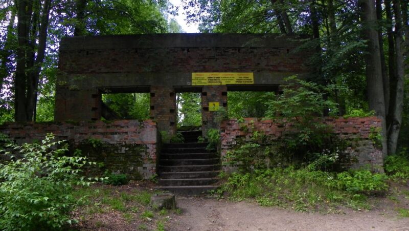 Warsaw: Private Full-Day Excursion to Wolfs Lair - Inclusions and Recommendations