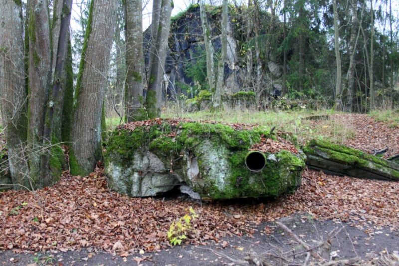 Warsaw: Private Full-Day Wolfs Lair Tour - Site Exploration