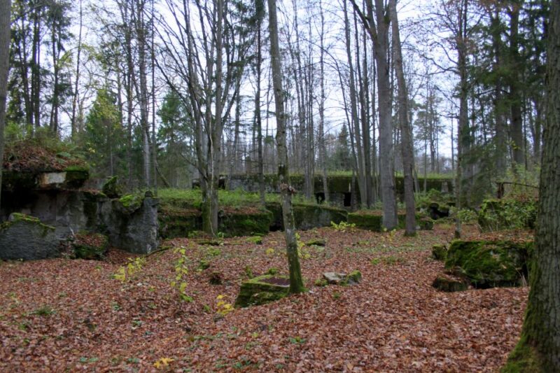 Warsaw: Private Full-Day Wolfs Lair Tour - Personalized Experience
