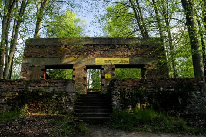 Warsaw: Private Full-Day Wolfs Lair Tour - Inclusions