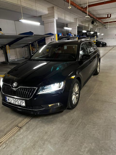 Warsaw: Private Transfer Chopin Airport -City 1-6 Person - Accessibility and Assistance