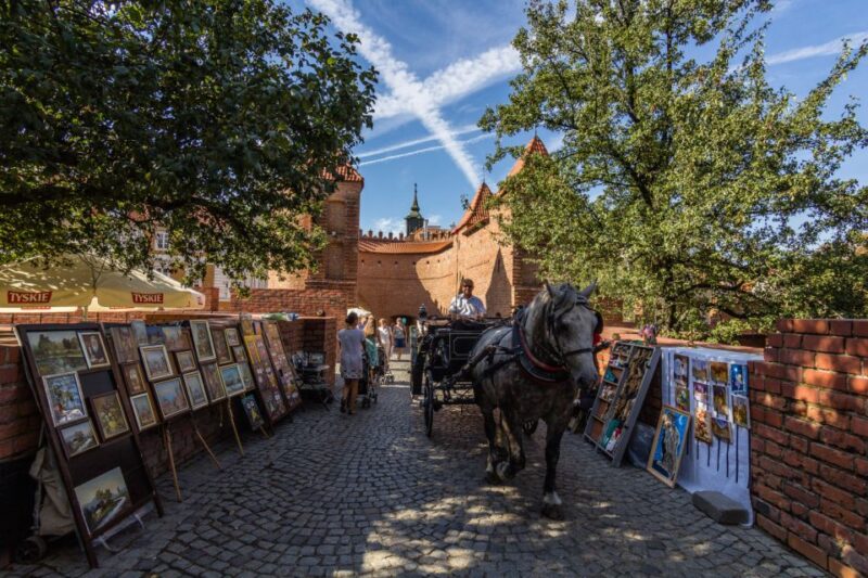 Warsaw: Private Walking Tour With Professional Guide - Guide and Language Options