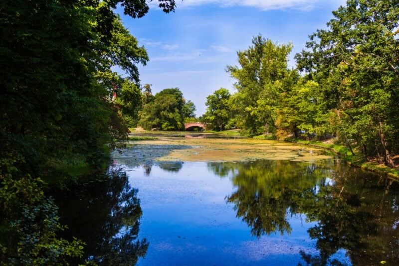 Warsaw Private Wilanow Palace & Garden Tour - Exploring Wilanow Palace