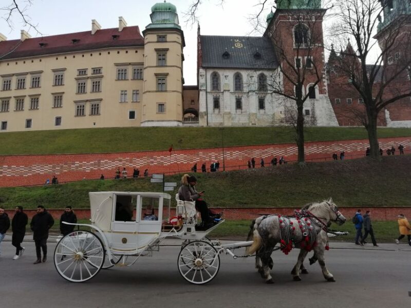 Warsaw: Tour to Krakow and Auschwitz by Train With Pickup - Itinerary Details