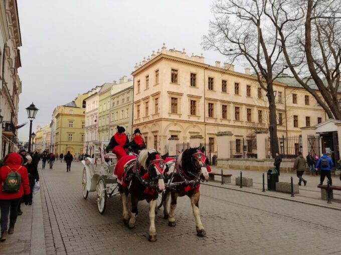 Warsaw: Tour to Krakow and Auschwitz by Train With Pickup - Frequently Asked Questions