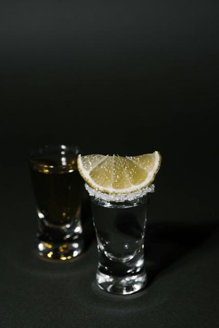 Warsaw: Vodka Tour - Experience Highlights