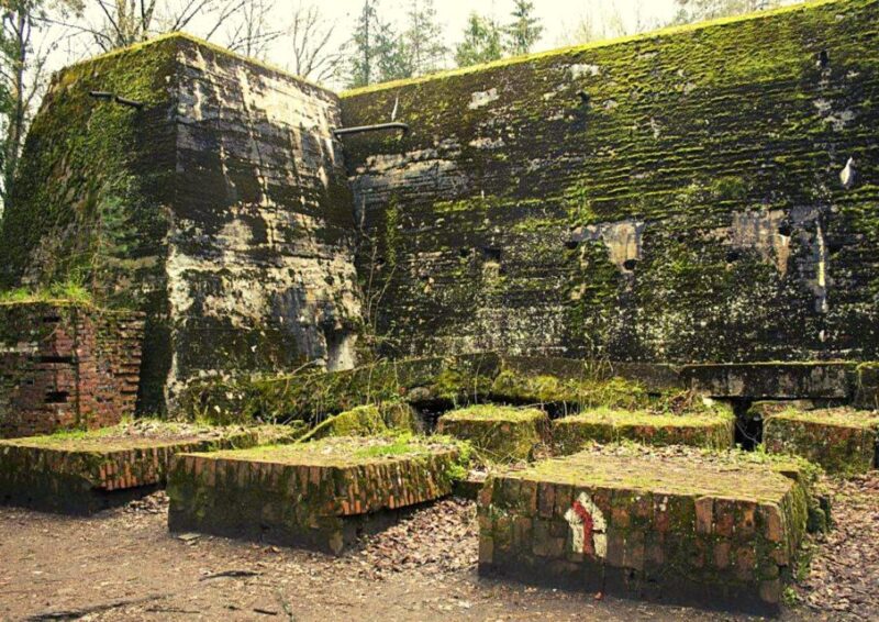 Warsaw: Wolfs Lair & Swieta Lipka Small-Group Tour + Lunch - Key Points