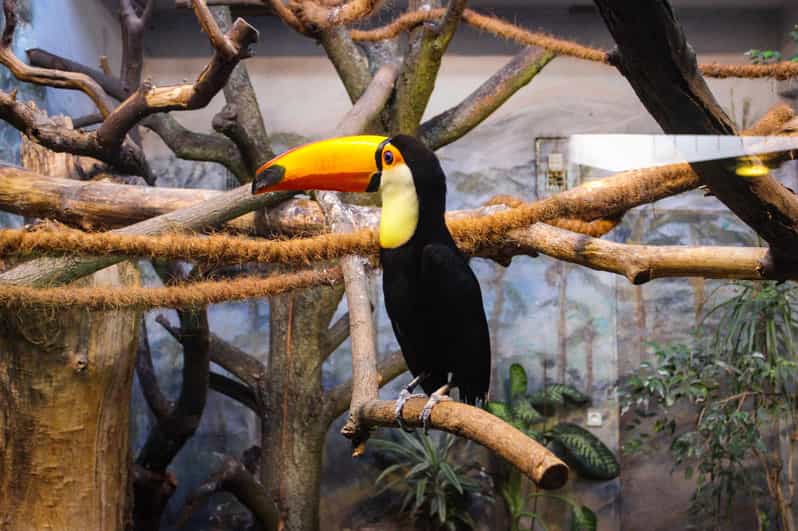 Warsaw Zoo Park With Private Transport - Transportation and Accessibility