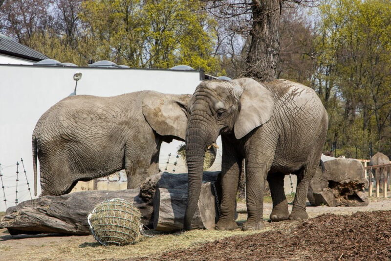 Warsaw Zoo Park With Private Transport - Customer Reviews and Ratings