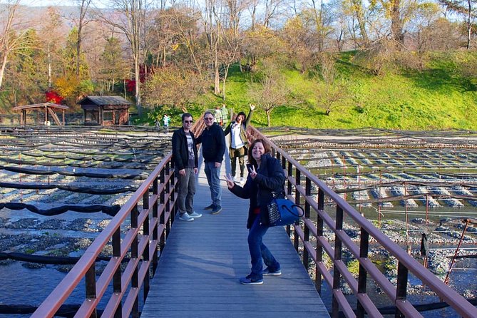 Wasabi Farm Discovery Walking Tour - Tour Highlights