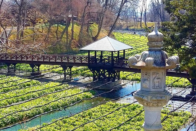 Wasabi Farm Discovery Walking Tour - Booking and Cancellation