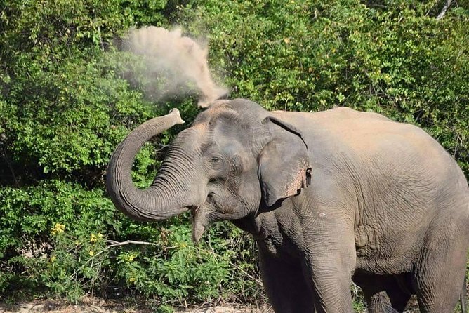 Wasgamuwa National Park | Private Safari - Accessibility and Transportation