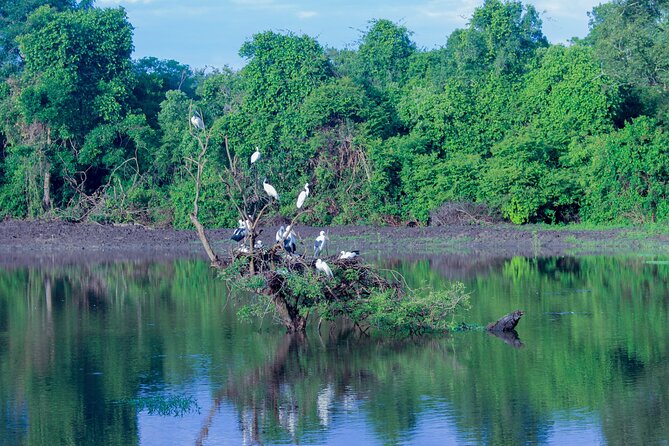 Wasgamuwa National Park | Private Safari - Booking and Payment Options