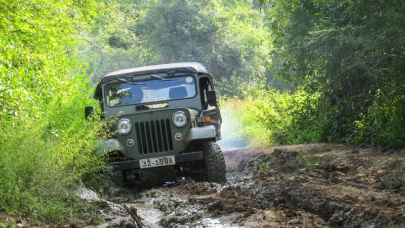 Wasgamuwa: Wasgamuwa National Park Private 3-Hour Safari - Itinerary and Logistics