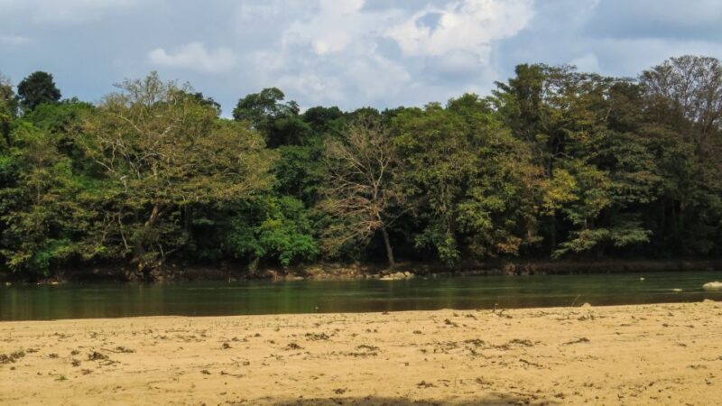 Wasgamuwa: Wasgamuwa National Park Private 3-Hour Safari - Customer Feedback
