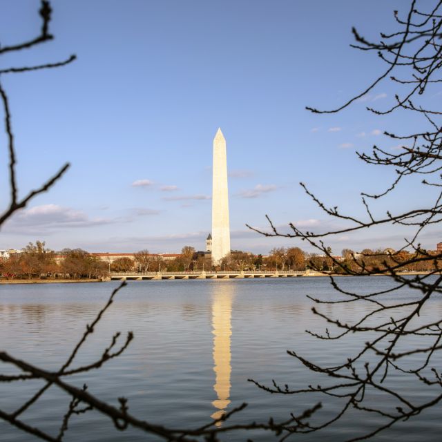 Washington: Cherry Blossom Tour - Tour Description