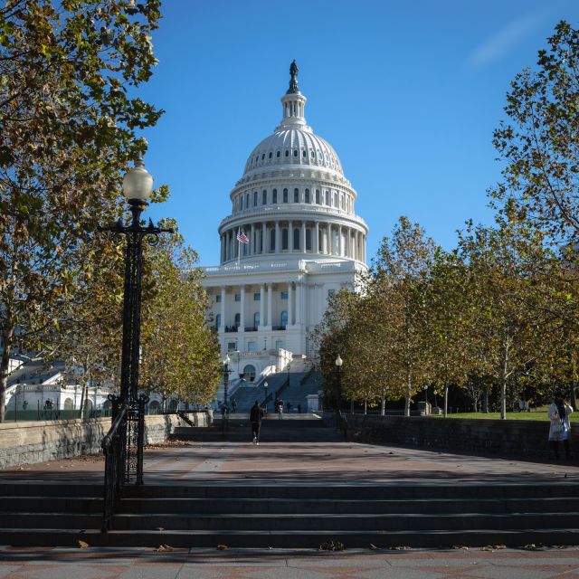 Washington: Cherry Blossom Tour - Getting There