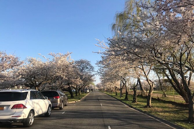 Washington D.C. Cherry Blossom 1-Day Tour From New York - Tour Inclusions and Exclusions