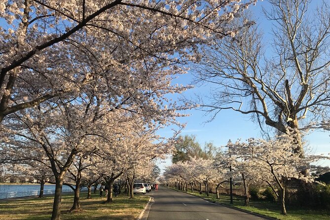 Washington D.C. Cherry Blossom 1-Day Tour From New York - Health and Safety Guidelines