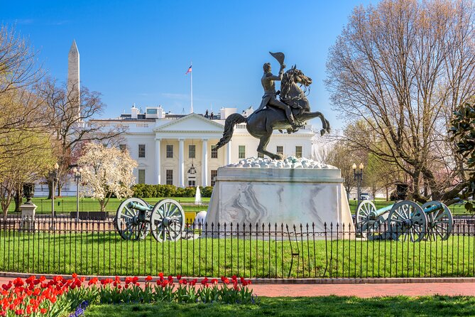 Washington D.C. Day Trip From Manhattan by Helicopter - Accessibility and Participation