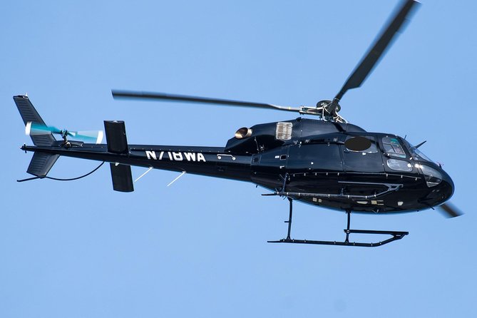 Washington D.C. Day Trip From Manhattan by Helicopter - Helicopter Specifications