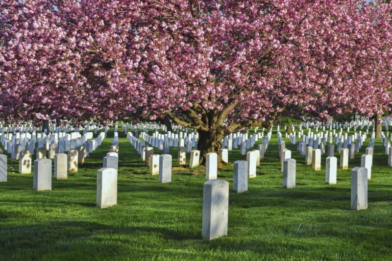 Washington DC: Arlington Cemetery Guided Walking Tour - Accessibility and Language