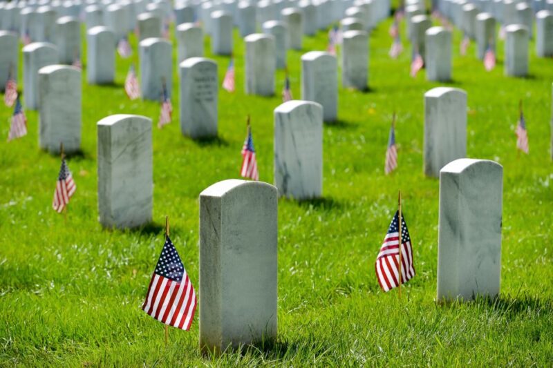 Washington DC: Arlington National Cemetery Walking Tour - Group Options and Accessibility